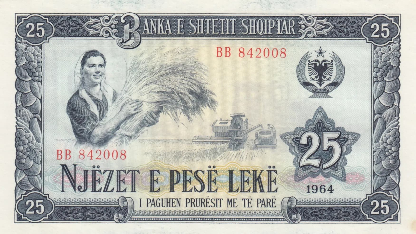 25 leke 1964 from Albania, P-37 (1964) — image 1