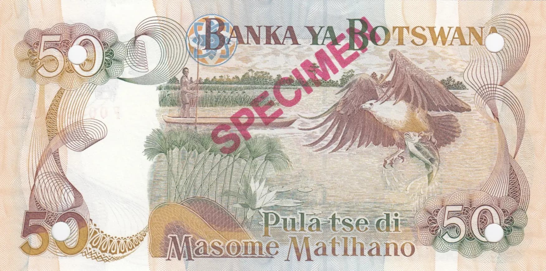 50 pula 1992 specimen from Botswana, P-14s (1992) — image 2
