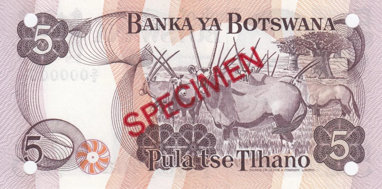 5 pula 1982 specimen from Botswana, P-8bs (1982) — image 2