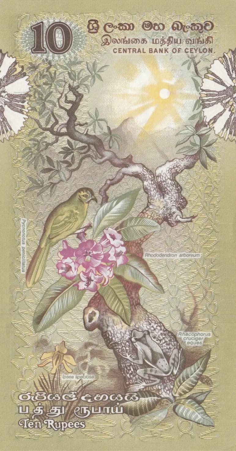 10 rupees 1979 from Sri Lanka, P-85 (1979) — image 2