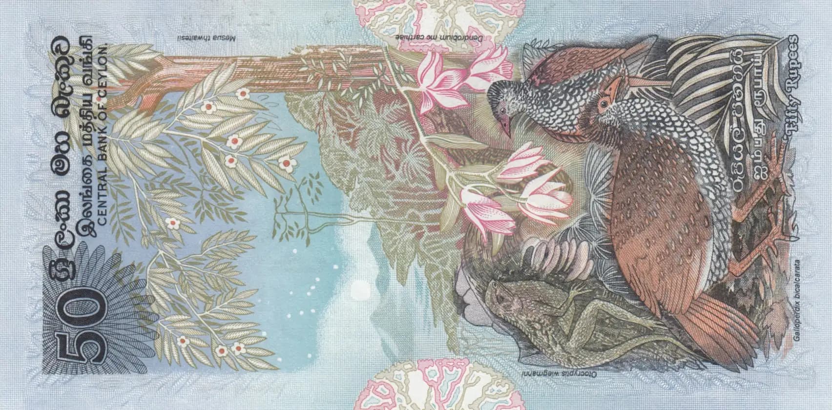 50 rupees 1979 from Sri Lanka, P-87 (1979) — image 2