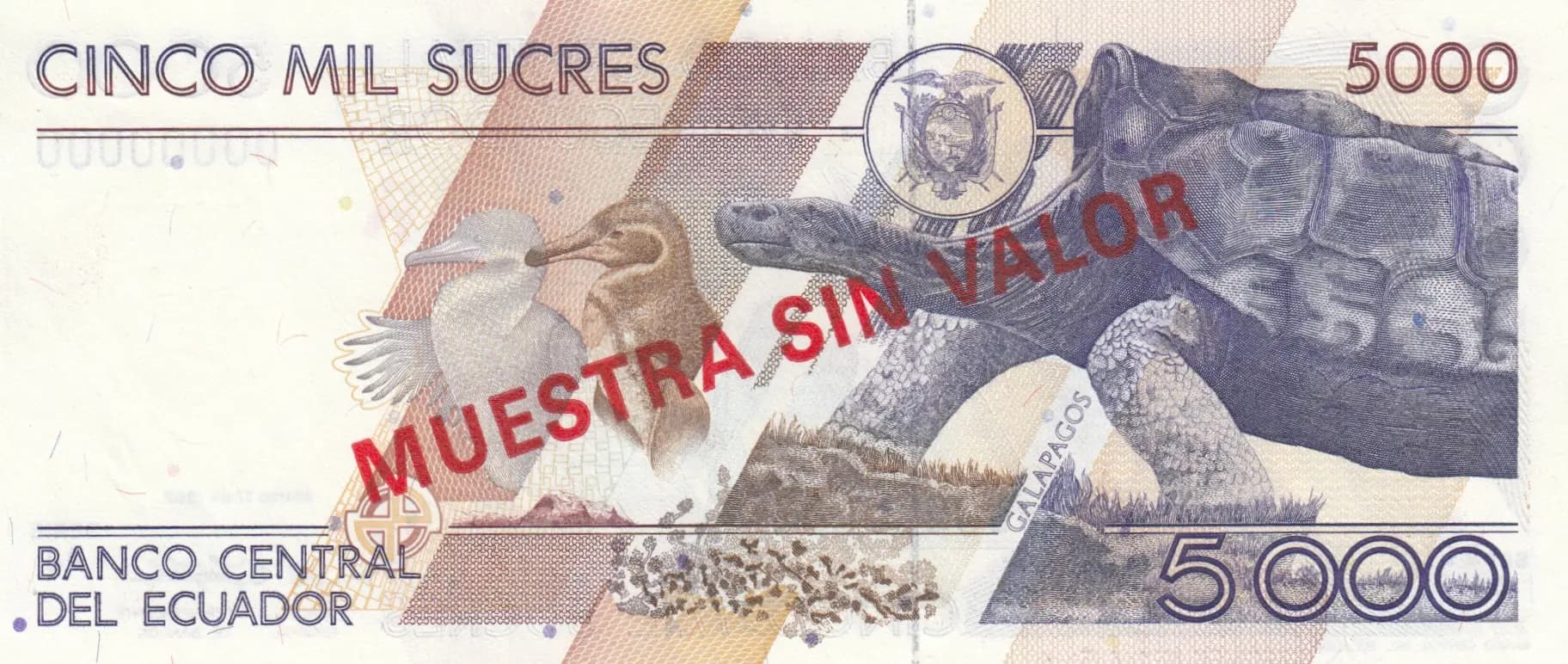 5000 sucres 1992 specimen from Ecuador, P-128as (1992) — image 2