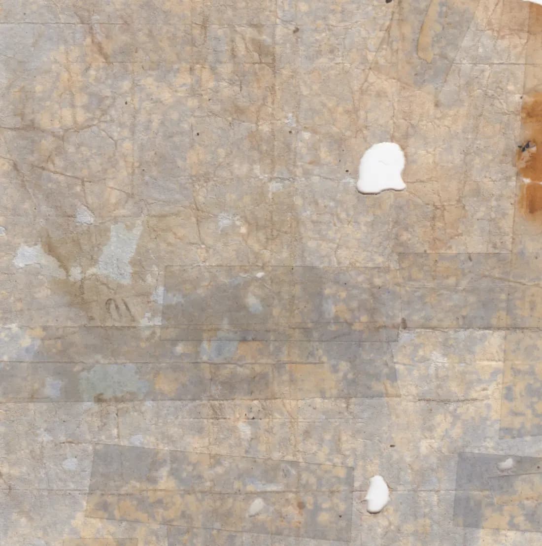 1 dollar 1872 from Fiji, P-unlisted (1872) — image 2