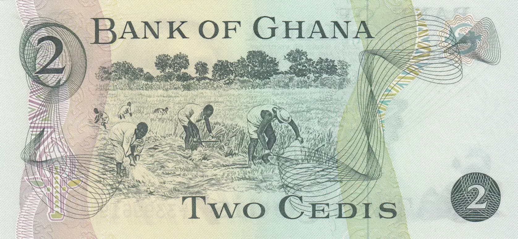 2 cedis 1977 from Ghana, P-14c (1977) — image 2