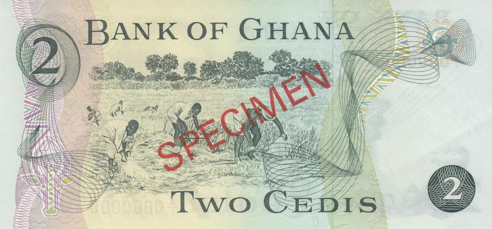 2 cedis 1972 specimen from Ghana, P-14as (1972) — image 2