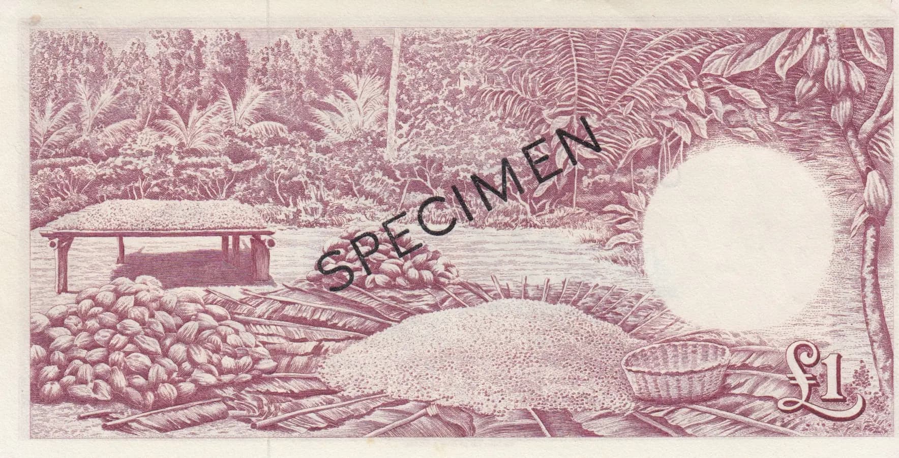 1 pound 1958 specimen from Ghana, P-2as (1958) — image 2
