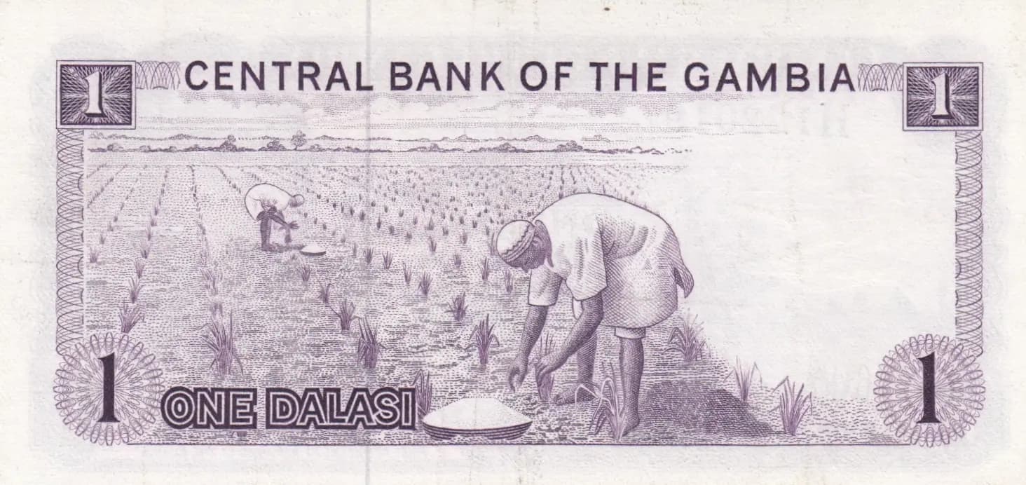 1 dalasi 1972 from Gambia, P-4b (1972) — image 2