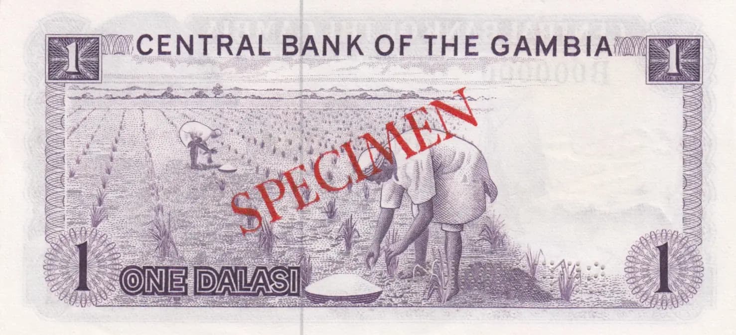 1 dalasi 1972 specimen from Gambia, P-4bs (1972) — image 2