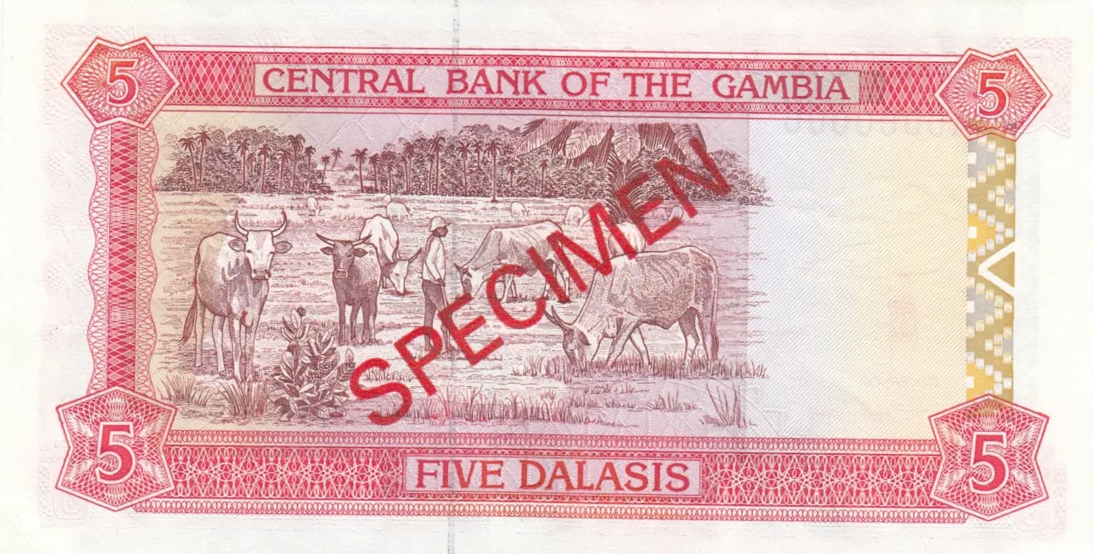5 dalasi 1991 specimen from Gambia, P-12as (1991) — image 2