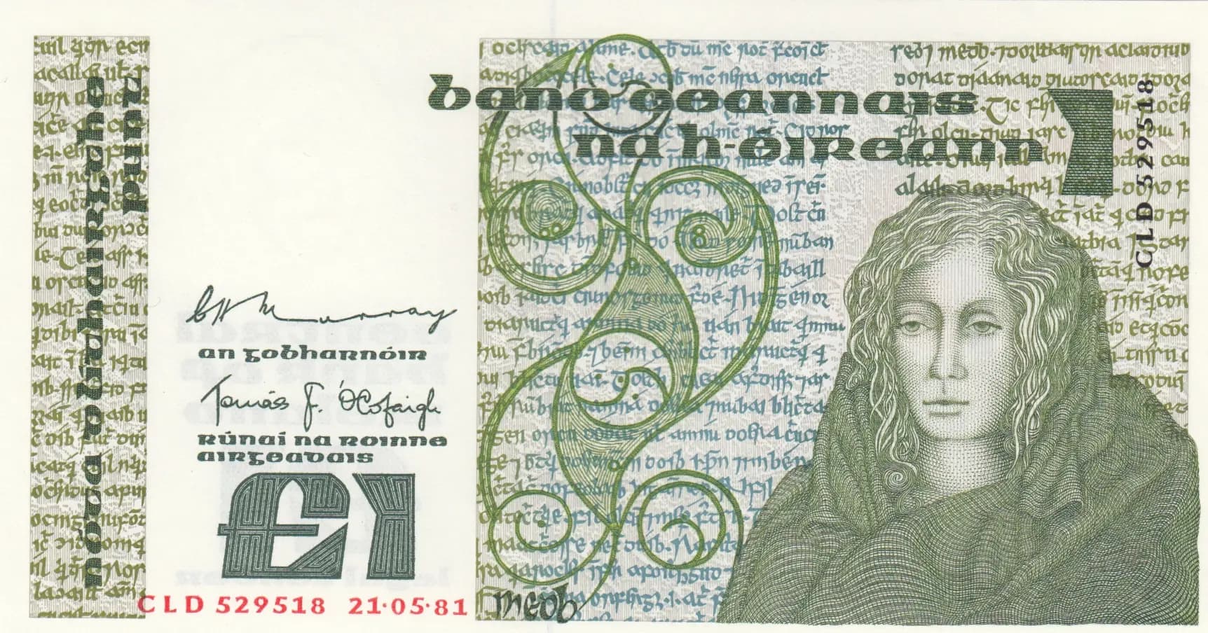 1 pound 1981 from Ireland, P-70b