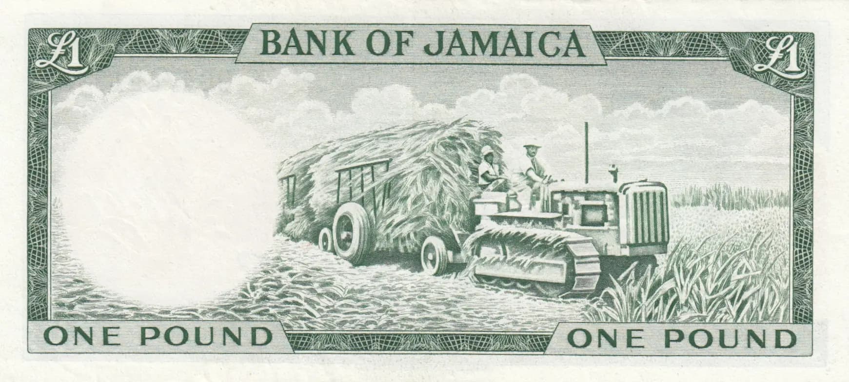 1 pound 1964 from Jamaica, P-51Ca (1964) — image 2