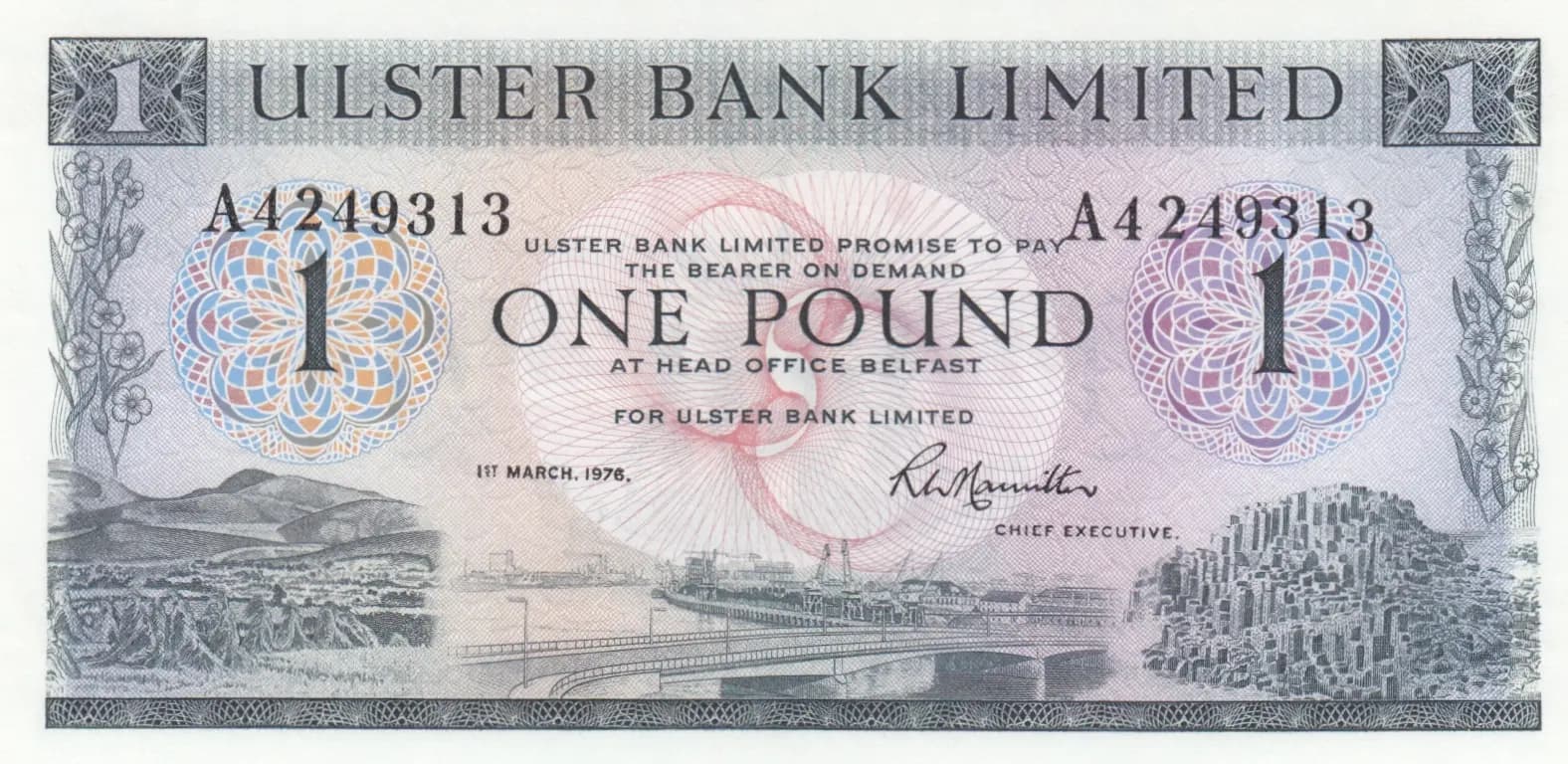 1 pound 1976 from Northern Ireland, P-325b