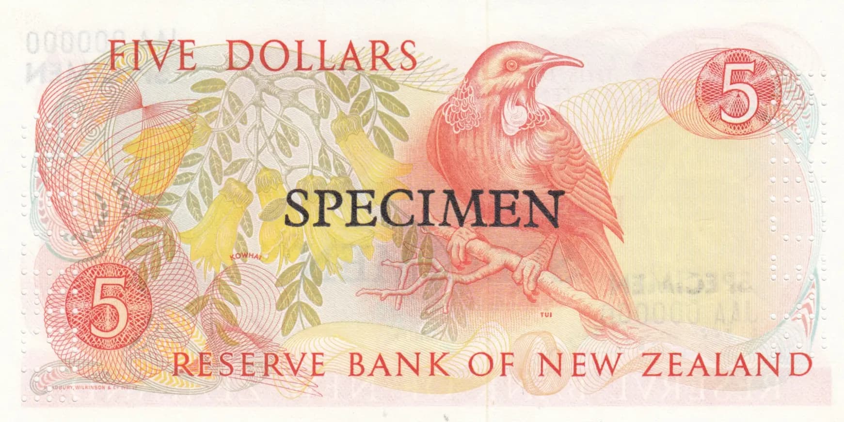 5 dollars 1981 specimen from New Zealand, P-171s (1981) — image 2