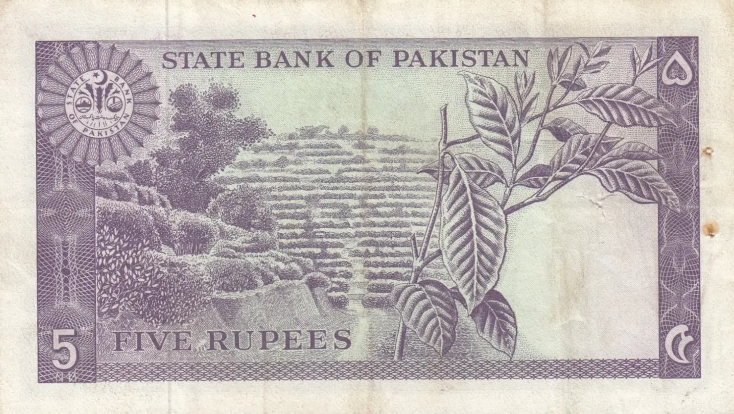 5 rupees 1966 from Pakistan, P-15 (1966) — image 2