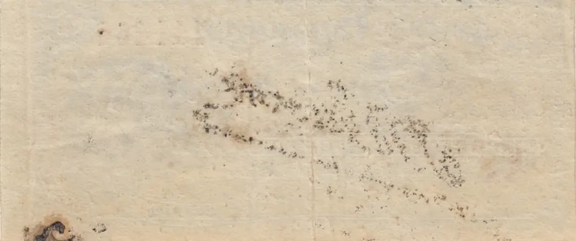 5 centavos 1882 from Paraguay, P-S121 (1882) — image 2