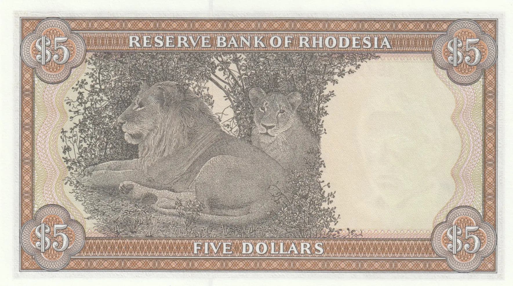 5 dollars 1978 from Rhodesia, P-36b (1978) — image 2