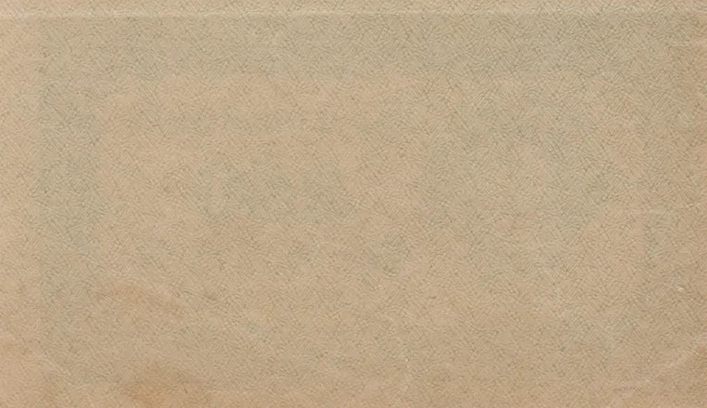 250 rublei 1921 from Russia (R. S. F. S. R.), P-110a (1921) — image 2