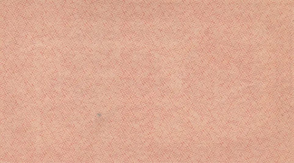 1000 rublei 1921 from Russia (R. S. F. S. R.), P-112b (1921) — image 2