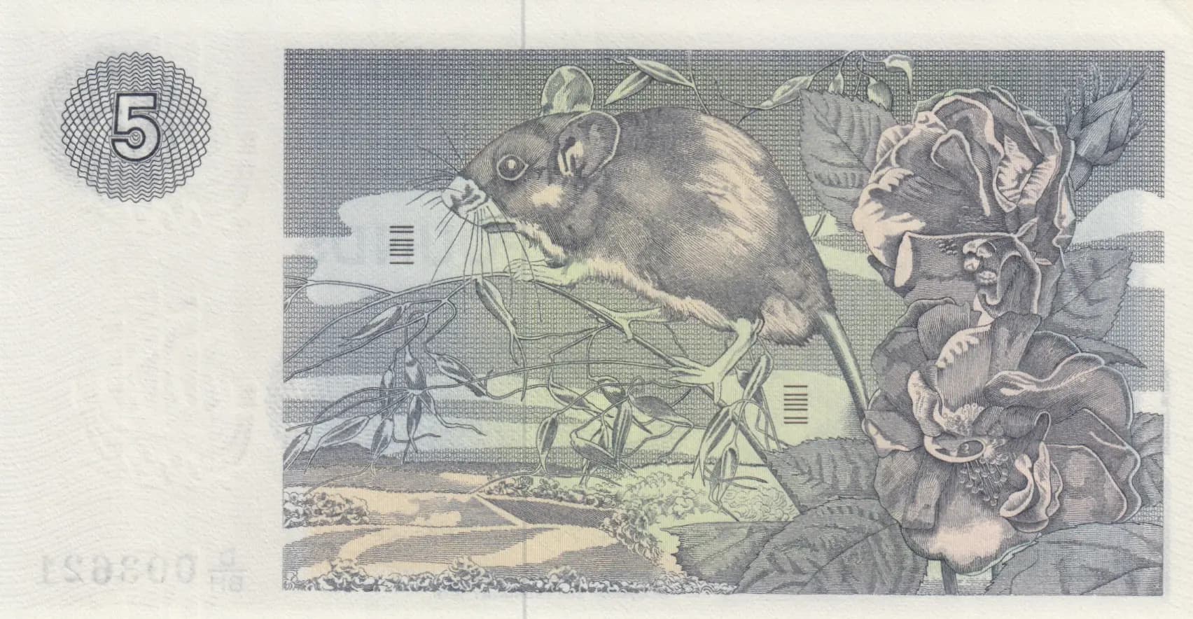 5 pounds 1976 from Scotland, P-205c (1976) — image 2