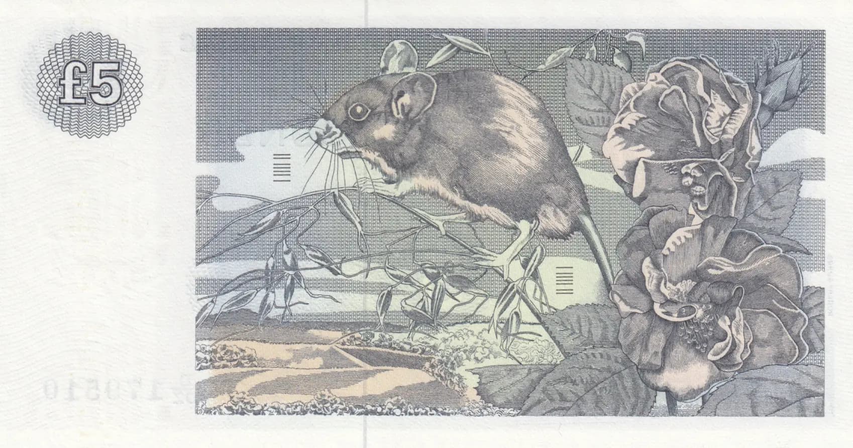 5 pounds 1982 from Scotland, P-212a (1982) — image 2