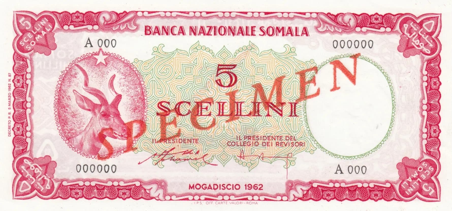 5 scelini 1962 specimen from Somalia, P-1s