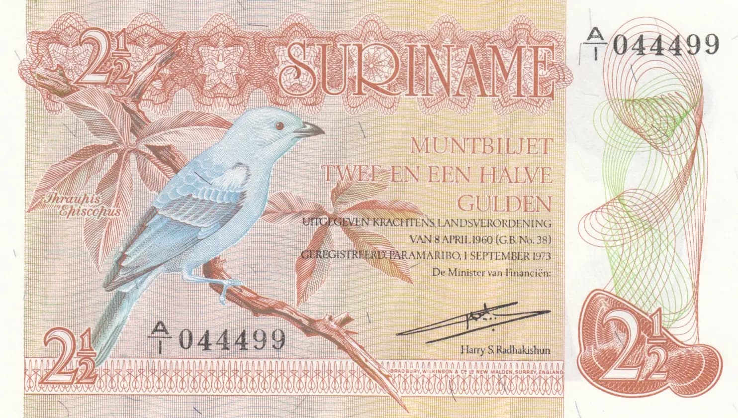 2 1/2 gulden 1973 from Suriname, P-118a