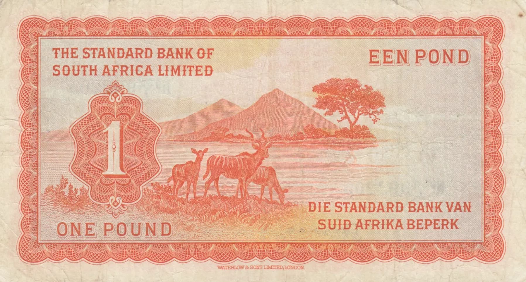 1 pound 1954 from Southwest Africa, P-8c (1954) — image 2