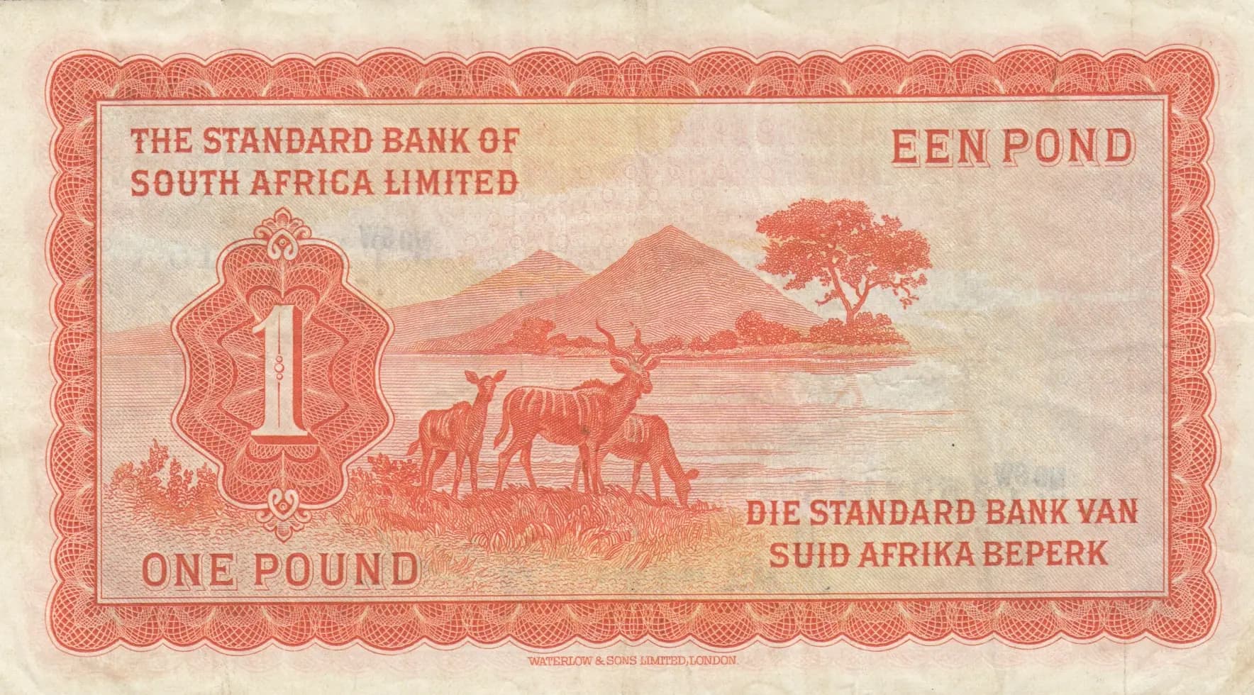 1 pound 1959 from Southwest Africa, P-11 (1959) — image 2