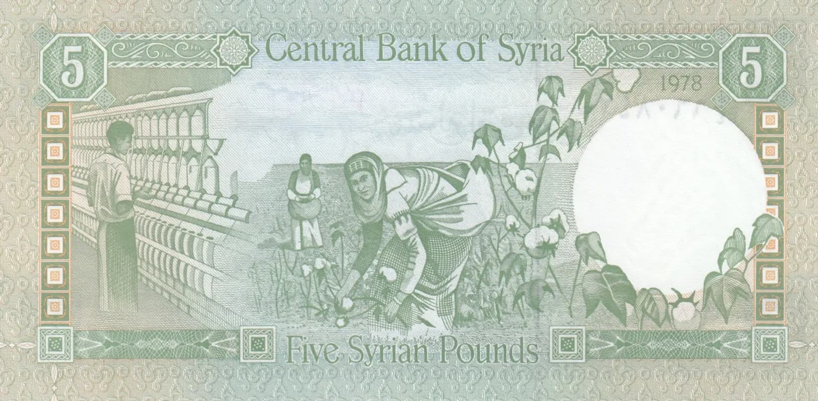 5 pounds 1978 from Syria, P-100b (1978) — image 2