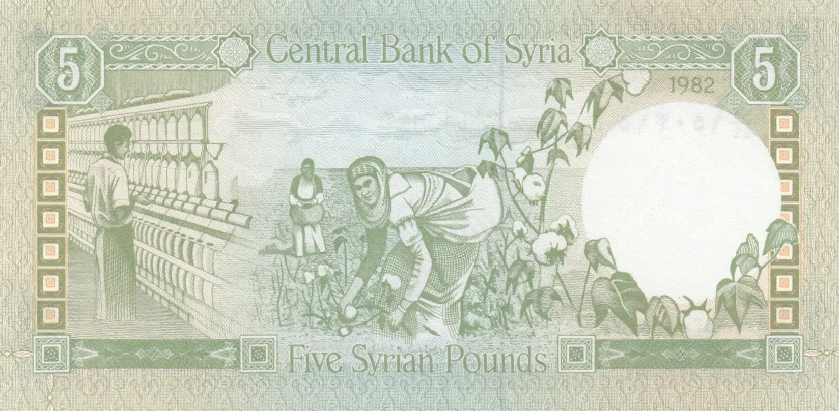 5 pounds 1982 from Syria, P-100c (1982) — image 2