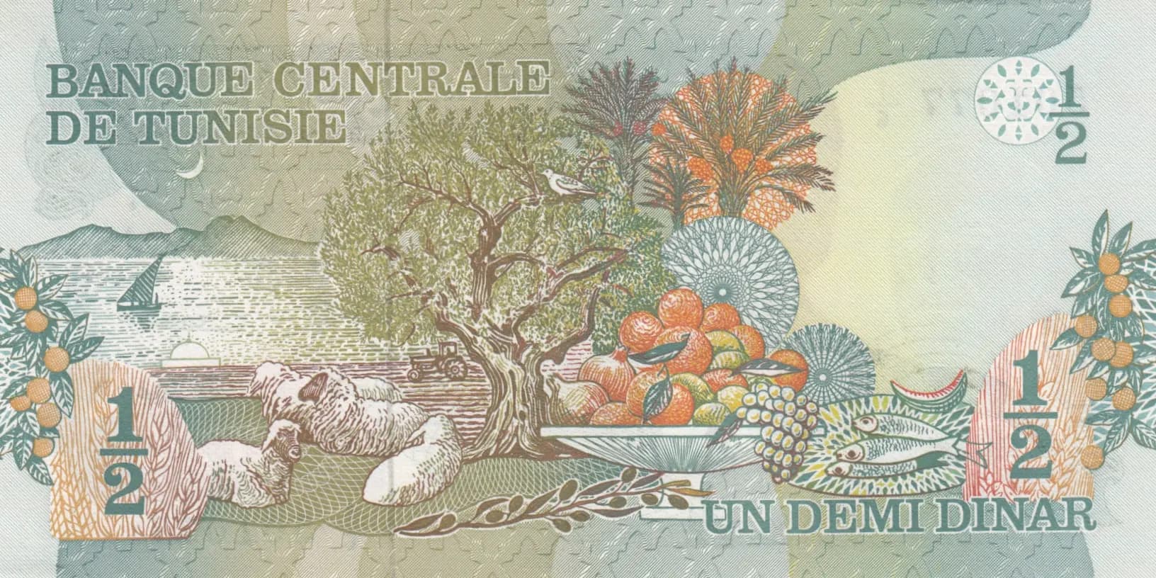 1/2 dinar 1973 from Tunisia, P-69 (1973) — image 2