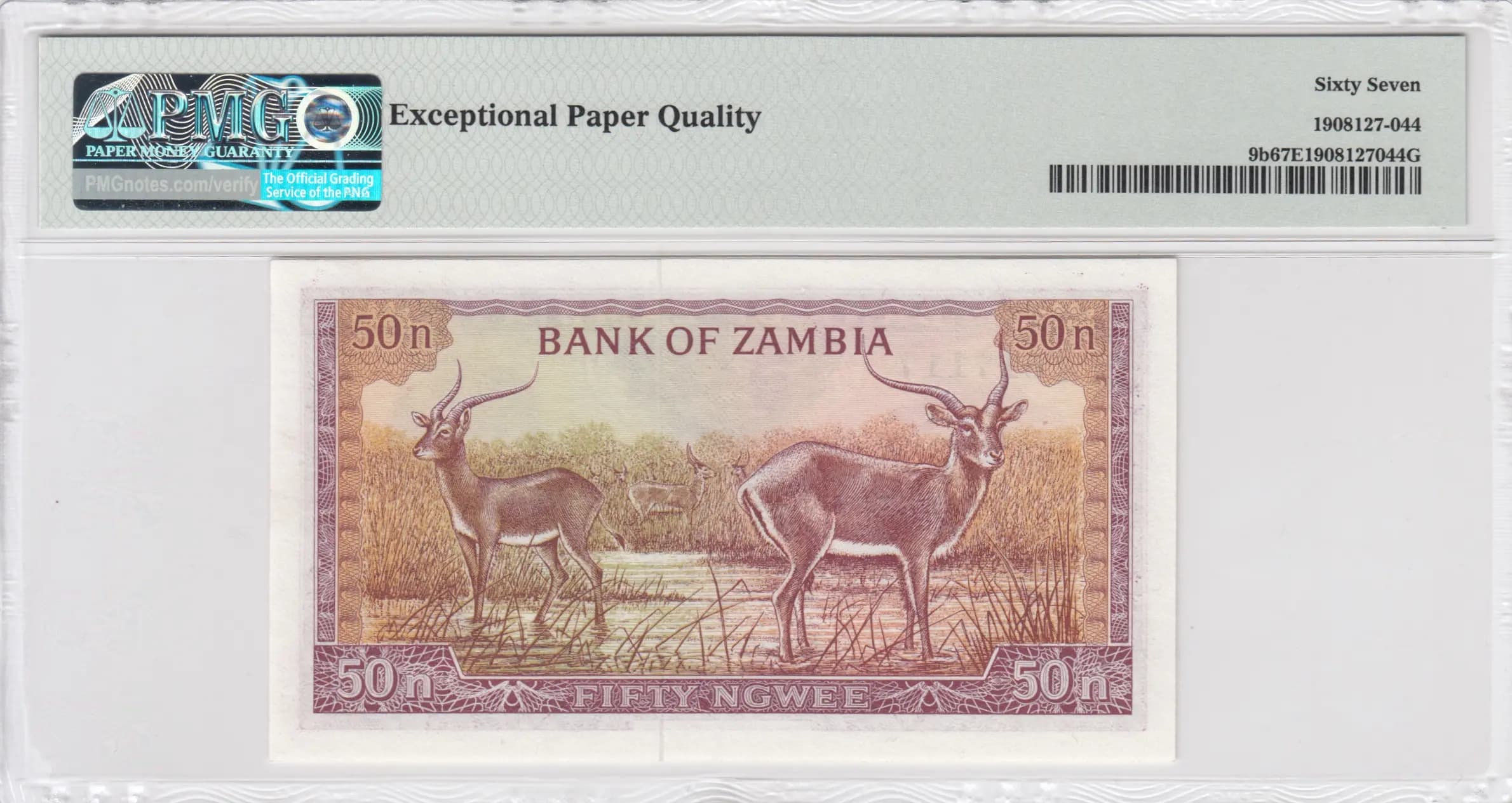 50 ndwee 1969 from Zambia, P-9b (1969) — image 2