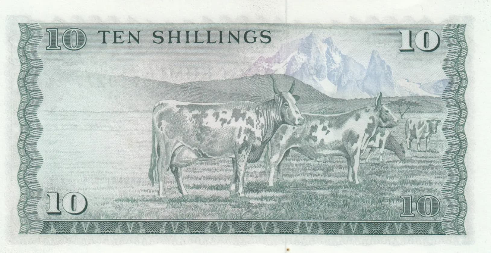 10 shillings 1975 from Kenya, P-12a (1975) — image 2