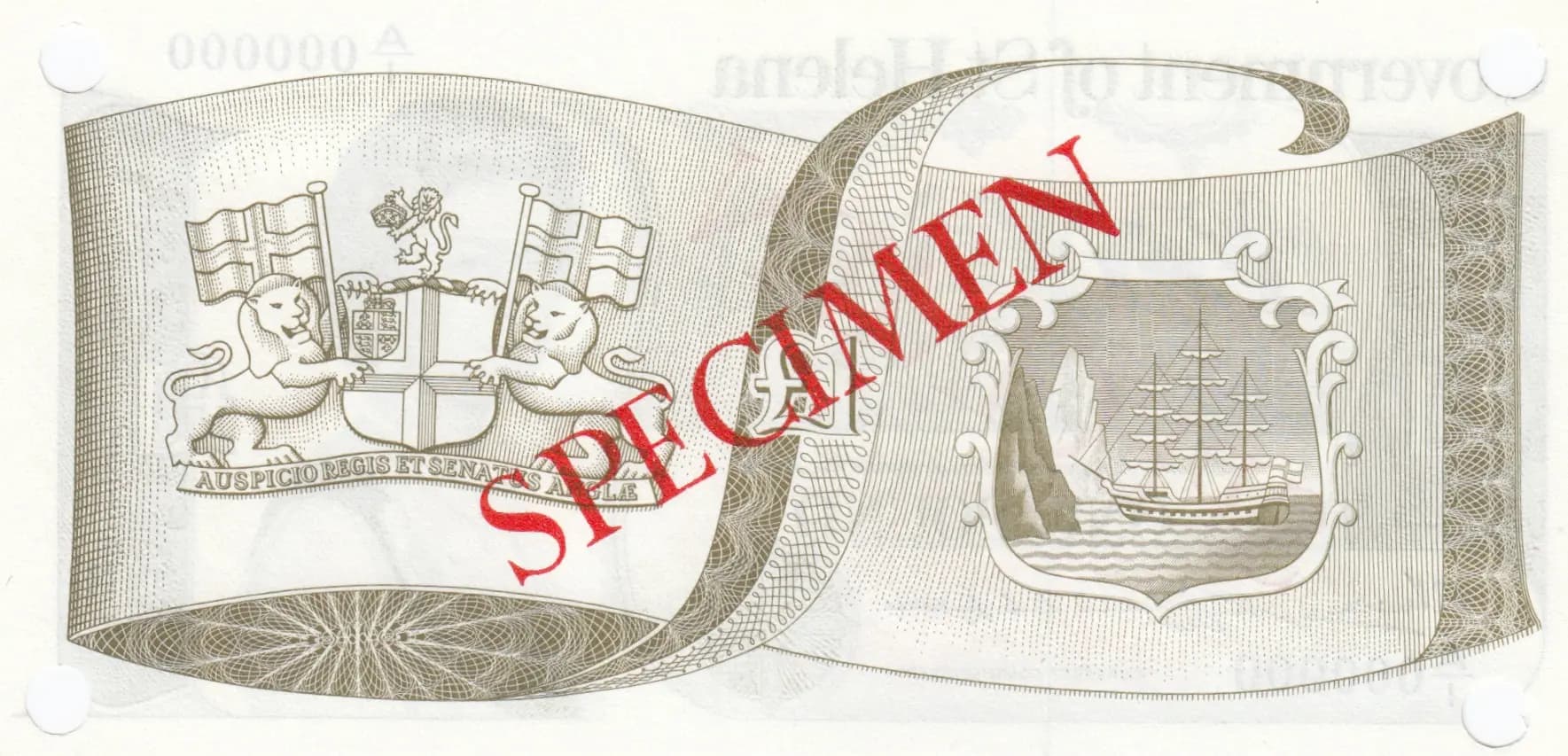1 pound 1976 specimen from Saint Helena, P-6s (1976) — image 2